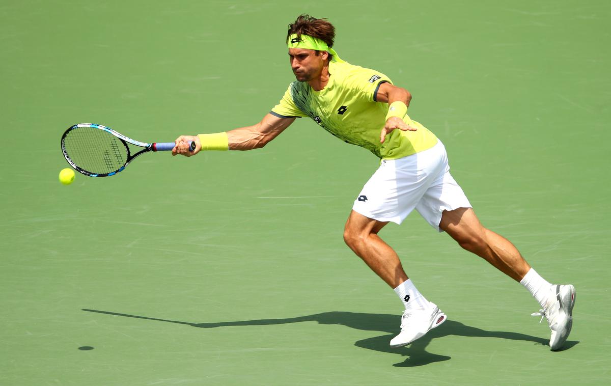 David Ferrer