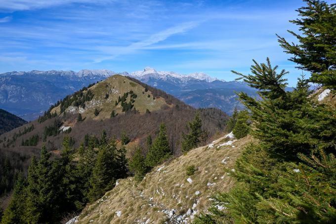 Pogled proti Šavniku, za njim pa Julijske Alpe s Triglavom | Foto: Matej Podgoršek