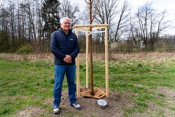 Gojku Zalokarju so v znak priznanja za njegovo dolgoletno delo letos ob Poti ob žici zasadili drevo. | Foto: Damjan Končar