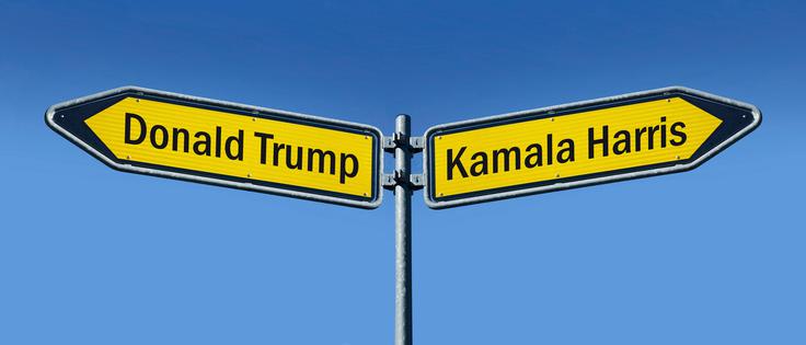ZDA so politično zelo razklane, zaradi česar nekateri že govorijo o nevarnosti državljanske vojne. Obe strani demonizirata nasprotno stran: za republikance je Kamala Harris nevarna levičarka, marksistka, če ne celo komunistka, ki ZDA pelje v enostrankarski sistem, demokrati pa trdijo, da je Trump nagnjen k avtoritarnosti in maščevalnemu nasilju proti političnim nasprotnikom ter da bo imel v morebitnem drugem mandatu precej manj zadržkov kot v prvem, ko so ga lahko njegovi sodelavci v Beli hiši še brzdali. Padajo tudi obtožbe, da je Trump fašist (to nekdanjemu predsedniku očita tudi njegov nekdanji vodja osebja v Beli hiši, upokojeni general John Kelly, ki ni član demokratske stranke). | Foto: Guliverimage