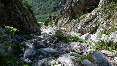 Priljubljena pot na Okrešelj je zaradi obnove zaprta