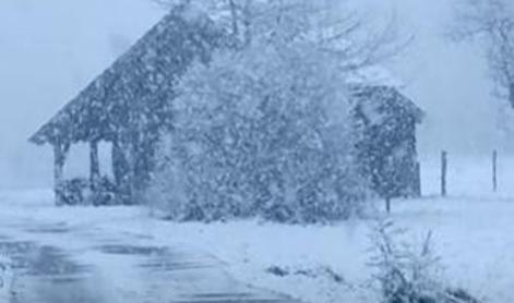 Zimska pravljica: tako močno je snežilo na Bledu #video