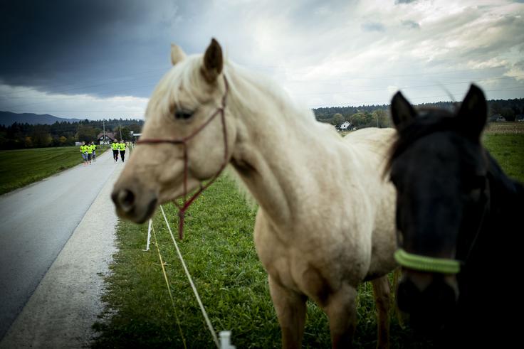 Anine tekačice so virtualno desetko pretekle v dveh ravninskih petkilometrskih krogih med Križami in Žiganjo vasjo. | Foto: Ana Kovač