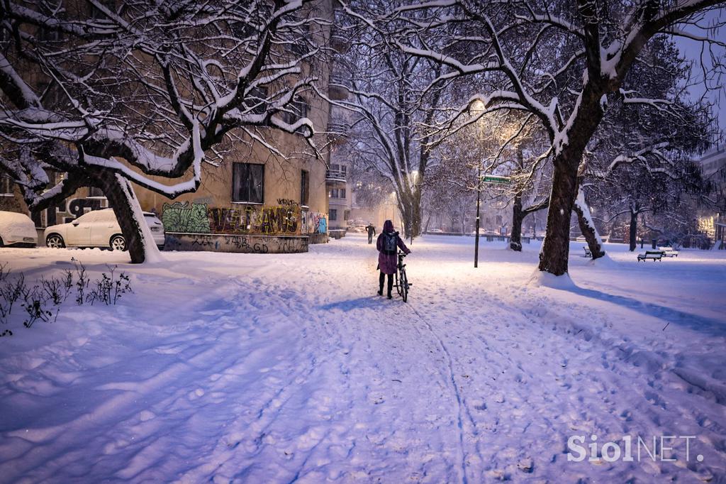 Sneg v Ljubljani