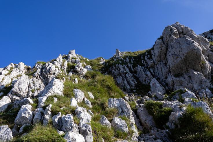Na strmi poti premagamo najbolj strma pobočja Nanosa. | Foto: Matej Podgoršek