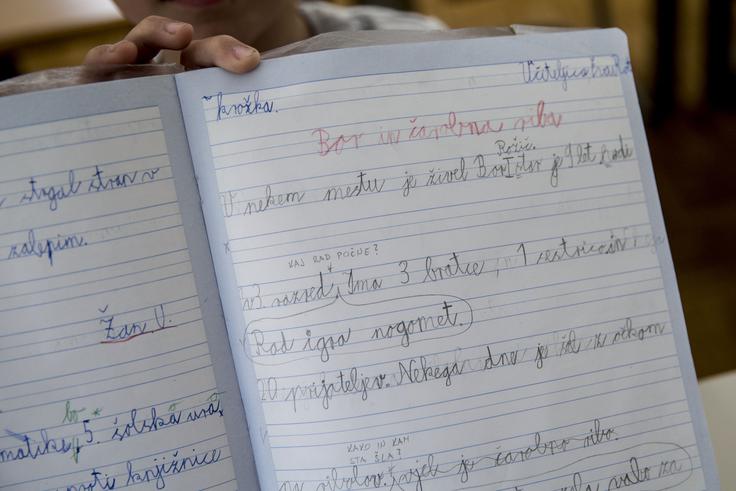 "Bolj primerno bi bilo učencem dati različne tipe nalog, pa te v manjšem obsegu." | Foto: Ana Kovač