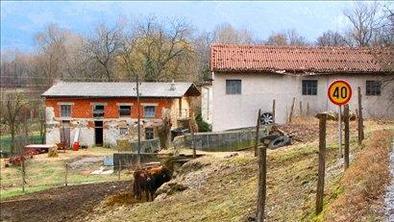 Sum na prisotnost virusa slinavke in parkljevke ovržen