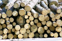 Les bo strateška surovina, ki je bo primanjkovalo