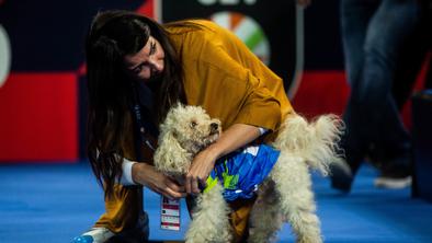Rdeča luč za največjo "faco" v Stožicah #foto