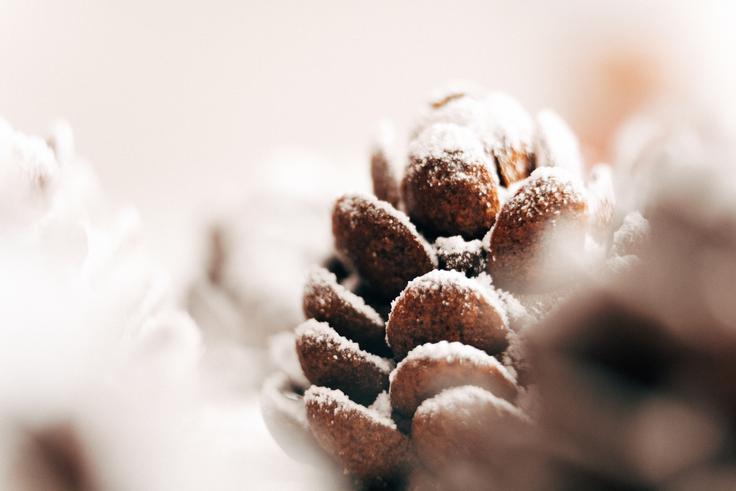 Agragold, čokoladni storži | Foto: Jan Lukanović