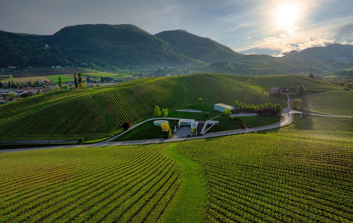 Zlati grič, pomlad | Foto Zlati grič