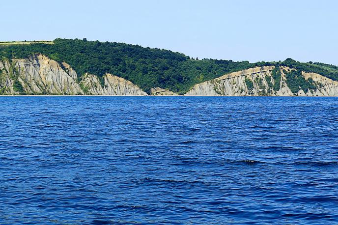 klif Slovenska obala | Foto STA