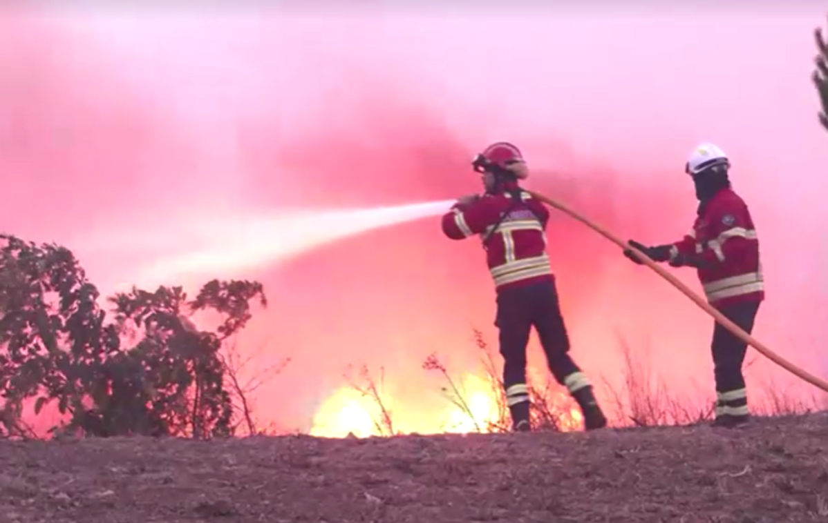 Portugalska požar | Tožniki državam očitajo nezadostno ukrepanje proti podnebnim spremembam. Sodišče v Strasbourgu po poročanju francoske tiskovne agencije AFP primer jemlje resno in ga je označilo za prednostno zadevo. | Foto Reuters