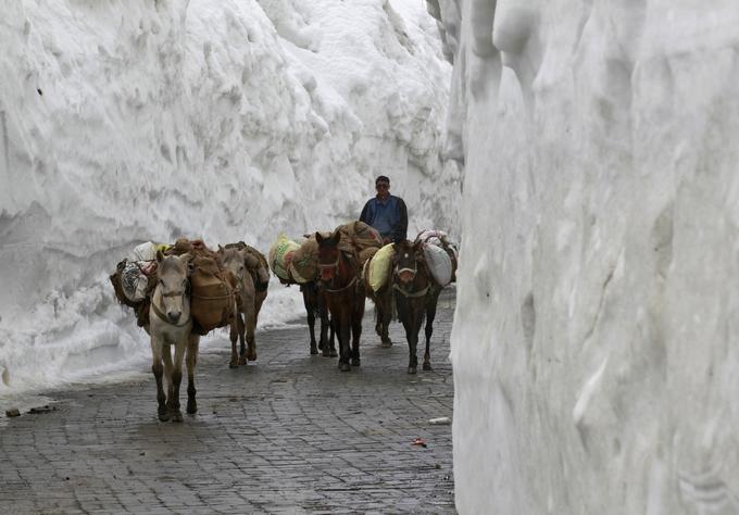 Preplet časa. V Himalaji je to še vedno pomemben in zanesljiv del logistike. | Foto: Reuters