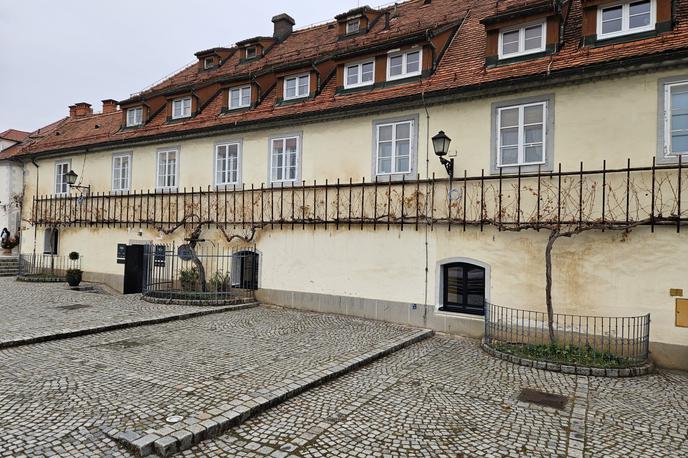 Lent | Hišo Najstarejše trte so odprli za javnost pred 17 leti in je najbolj obiskana turistična točka v mestu.  | Foto STA