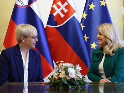 Pirc Musarjeva: To področje zahteva ambiciozni pristop