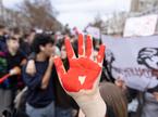 Novi Sad protest