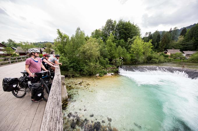 V okviru projekta Dolga pot domov so včeraj prispele na Bled, danes pa jih bo pot vodila do Bohinja. | Foto: Vid Ponikvar