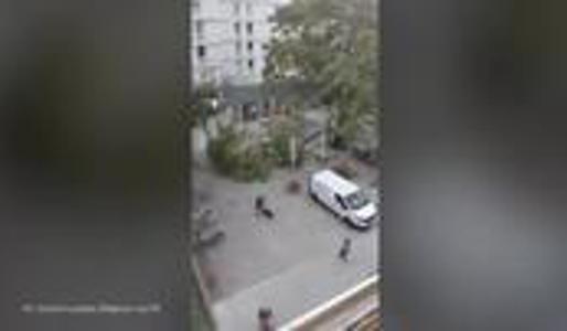 Brutalen posnetek iz Ljubljane: kolesar se je za las izognil padajočemu drevesu #video