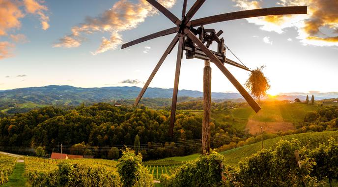 Štajersko razglasili za najboljšo vinsko regijo v Evropi, premagala je celo Francijo in Italijo