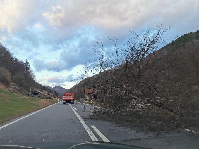 Podrto drevo na cesti Trojane–Vransko. | Foto: Bralka