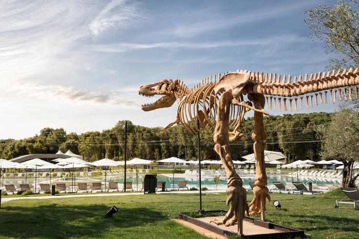 Paleo vodni park | Foto: Mon Perin