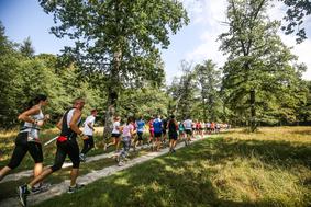 Odprte so prijave na 8. Triglav tek