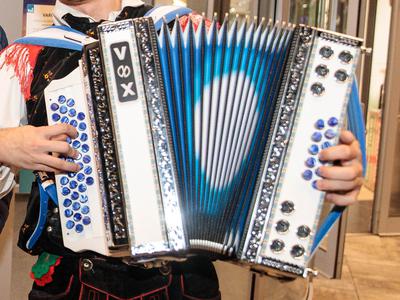 Kljub Jankovićevi prepovedi napovedujejo shod harmonikarjev v Ljubljani