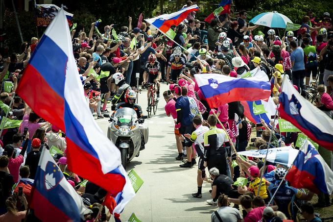 Slovenski navijači so lani v Goriških Brdih pripravili pravi navijaški praznik.  | Foto: Ana Kovač