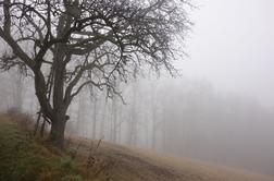Jutri ponekod vendarle bolj zimsko