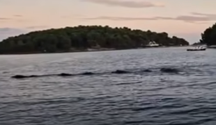 Hrvati posneli nenavaden prizor pred Malim Lošinjem #video