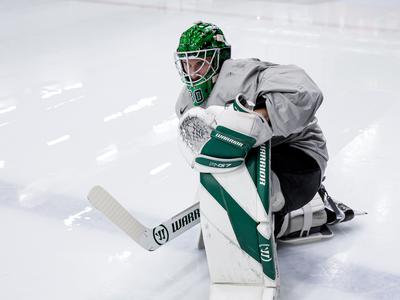 Poljaki risom vrnili udarec