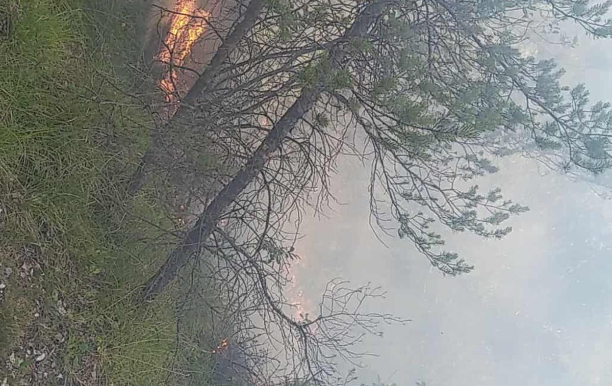 pozar | Foto Facebook/Gasilci Črna na Koroškem