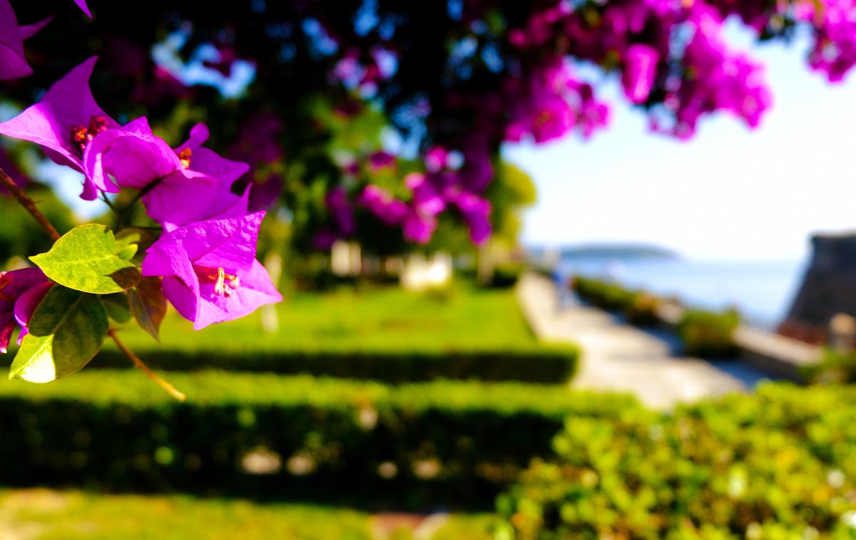 pomlad | Foto Shutterstock
