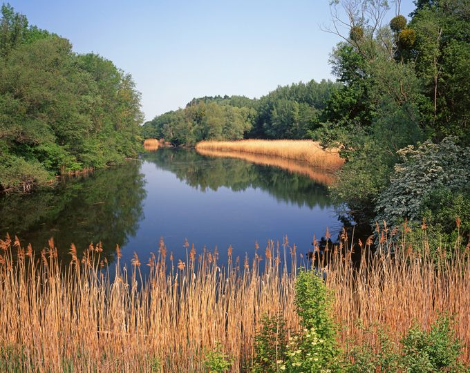 Donau Auen | Foto: Popp Hackner