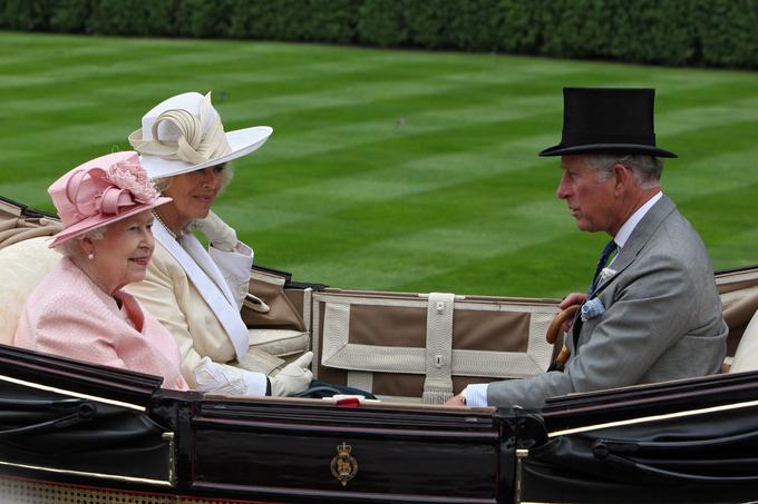 Člani družine Windsor so v preteklih letih in desetletjih poskrbeli za številne afere, ki so ogrožale priljubljenost kraljeve družine. Ugled družine v britanski javnosti je tako pravzaprav reševala prav kraljica Elizabeta II.  | Foto: Guliverimage/Vladimir Fedorenko
