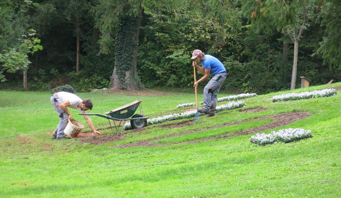 Dijaki in študenti, pozor: te občine ponujajo poletna dela
