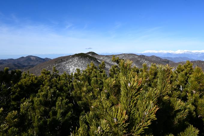 Pogled z Velikega Golaka proti Srednjemu in Malemu Golaku, najvišjemu vrhu Trnovske planote | Foto: Matej Podgoršek