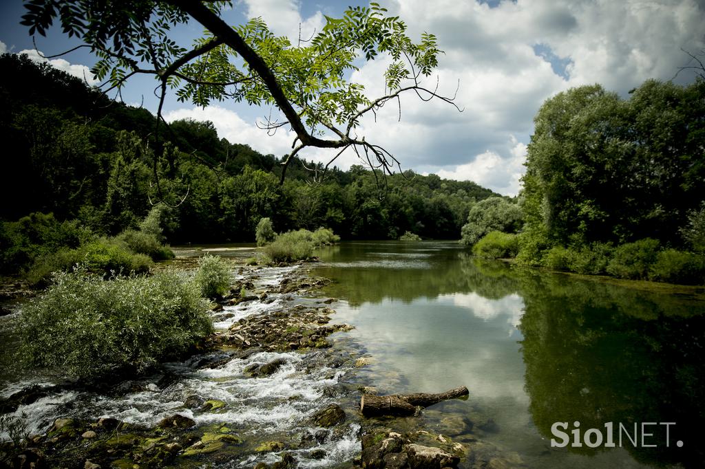 Turistična ekološka kmetija Čemas Vinica Zilje Bela Krajina Kolpa
