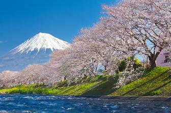 V mestu na Japonskem bodo zaradi turistov zastrli pogled na goro Fuji
