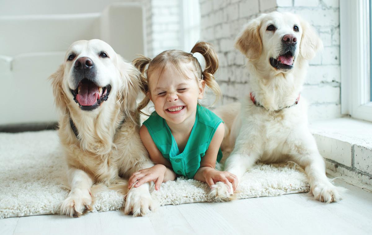 kuža otrok pes hišni ljubljenčki | Foto Shutterstock
