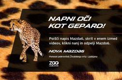 NAGRADNA IGRA: Napni oči kot gepard!