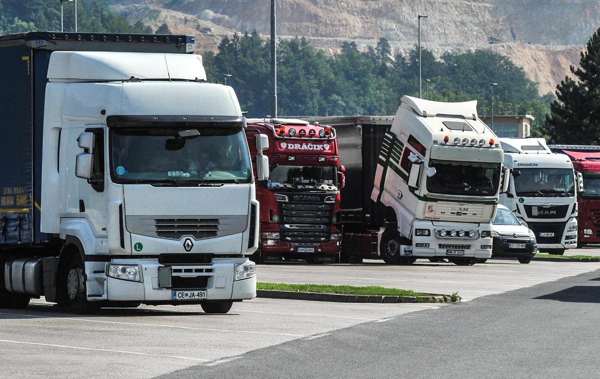 Tovornjakarji avtocesta | Ob slovenskem avtocestnem križu je 1.450 parkirnih mest za tovornjake.  | Foto Gašper Pirman
