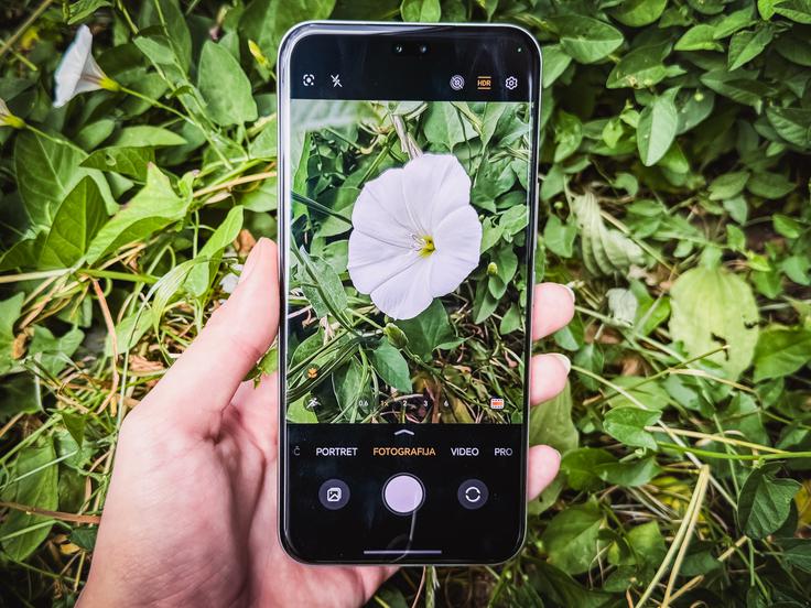 HONOR 400 Pro | Foto: Lana M. Orel