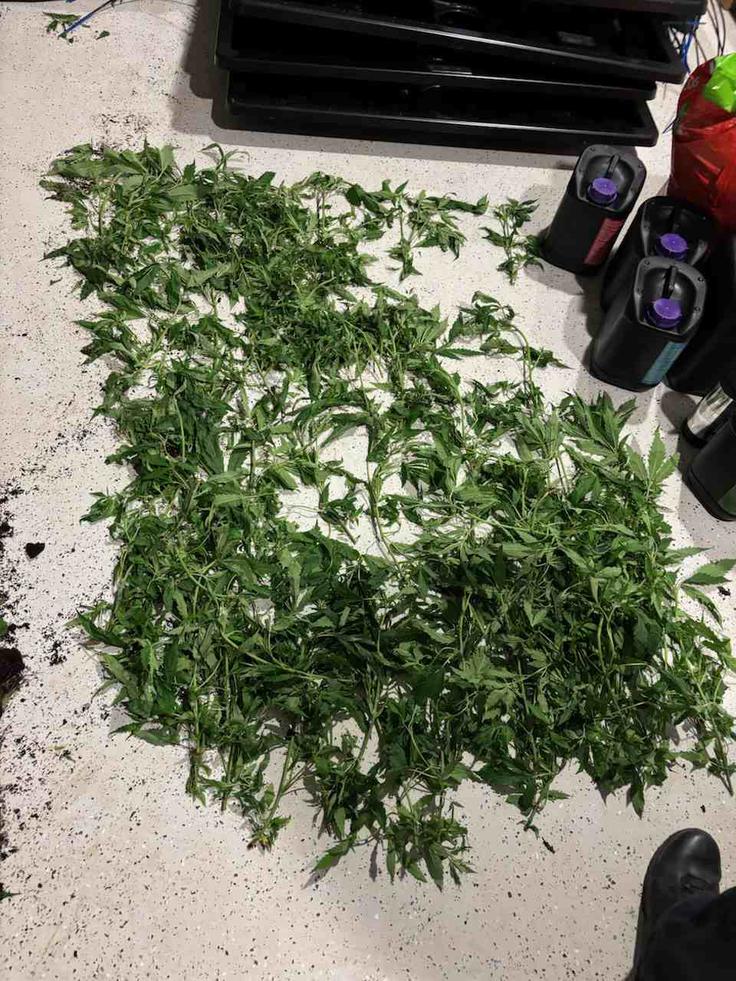 droge, policija, Trzin | Foto: policija