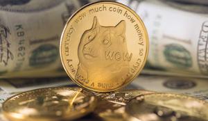 Kaj je memecoin in kaj ima skupnega z loterijo?