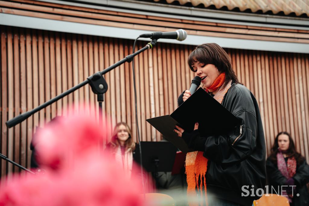 Šola za hortikulturo in vizualne umetnosti Celje