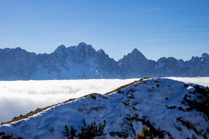Trupejevo poldne, ko zlate macesne nasledi zimska pravljica #video