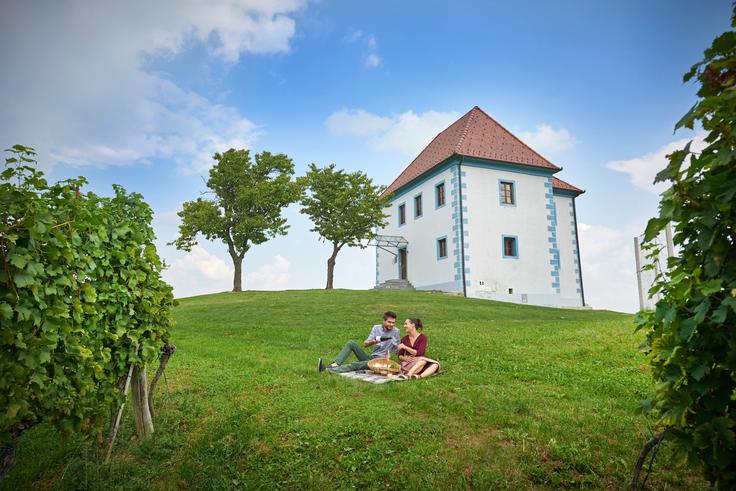 Zlati grič, Vinogradniški dvorec Eden najbolj priljubljenih načinov za doživetje pristne narave Zlatega griča je paket Vinska pravljica, ki vključuje nastanitev v vinogradniškem dvorcu, kosilo ali večerjo in zajtrk v gostilni Zlati grič ter ogled vinske kleti in pokušino.  | Foto: Zlati grič