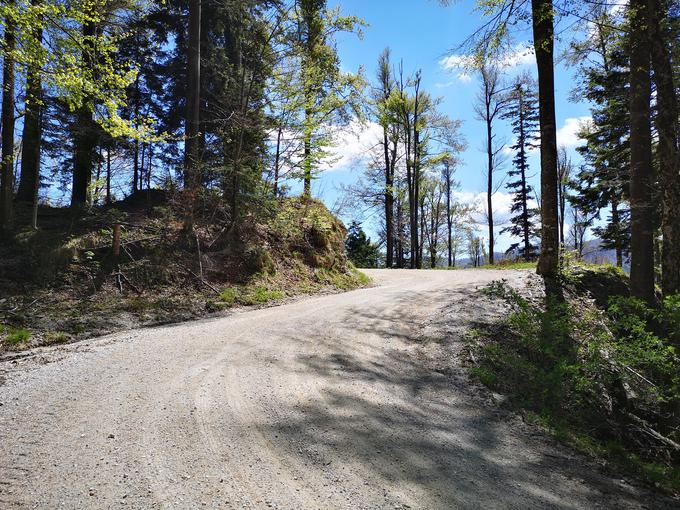 Ta hitrostna preizkušnja je bila z dolžino 47 kilometrov najdaljša v zgodovini relija v Sloveniji. | Foto: Gregor Pavšič